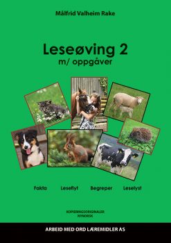 Leseøving 2 - Nynorsk